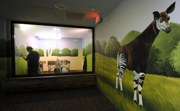 What's new at the zoo -- new murals in Animal Kingdom Building